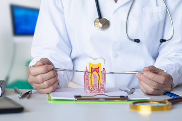 Best Weekend Emergency Dentist in Valley Springs, CA